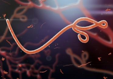 biociden-levensnoodzakelijk-in-de-strijd-tegen-ebola